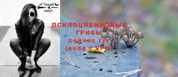 spice Покачи