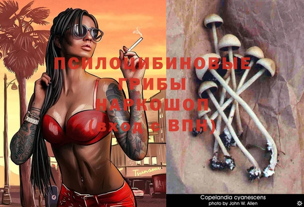 COCAINE Пестово