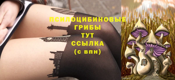 PSILOCYBIN Покровск