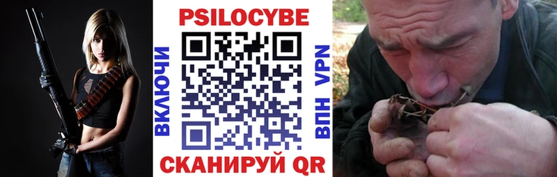 МЕГА tor  Сергач  Псилоцибиновые грибы мицелий  где найти наркотики 